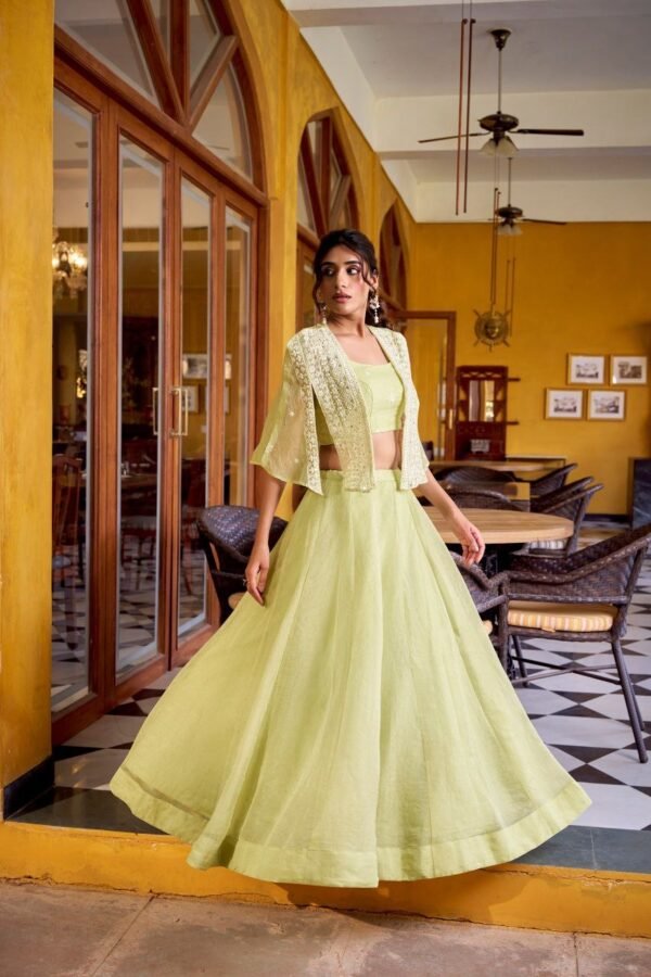 Party wear lehenga