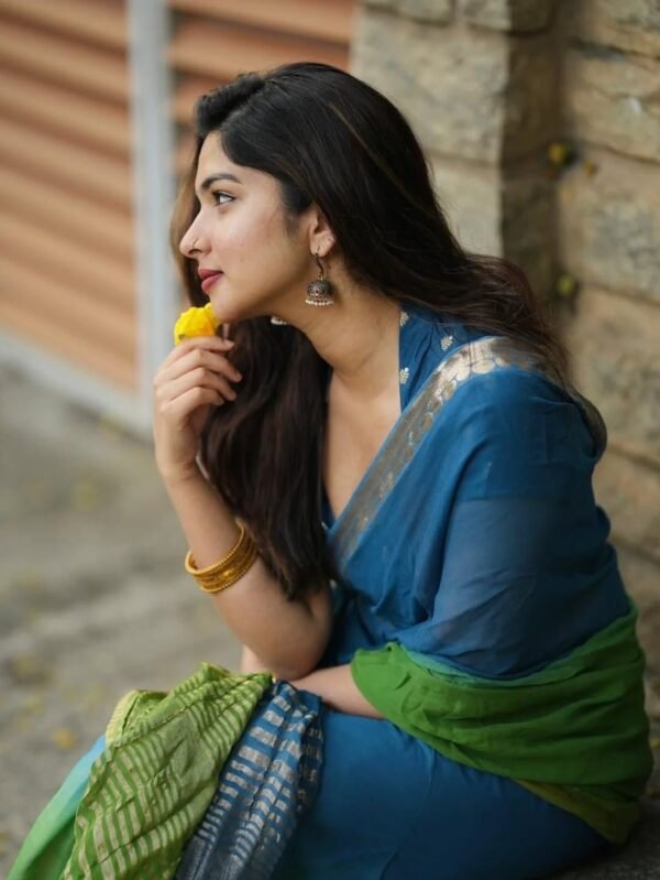 Dual shaded viscose Georgette sarees - Image 10