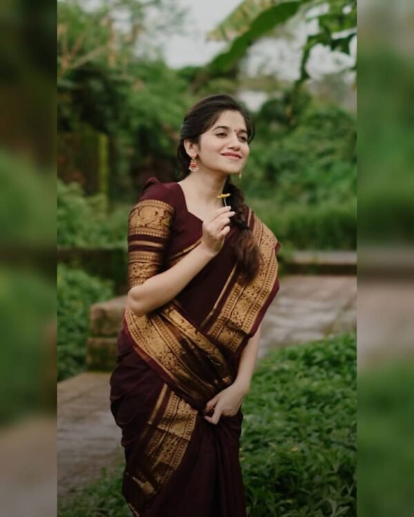 Kanchi cotton sarees - Image 2