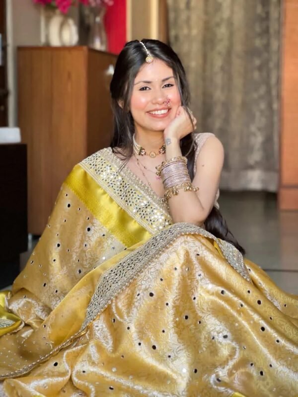 Banarasi mirror work tissue silk saree - Image 5