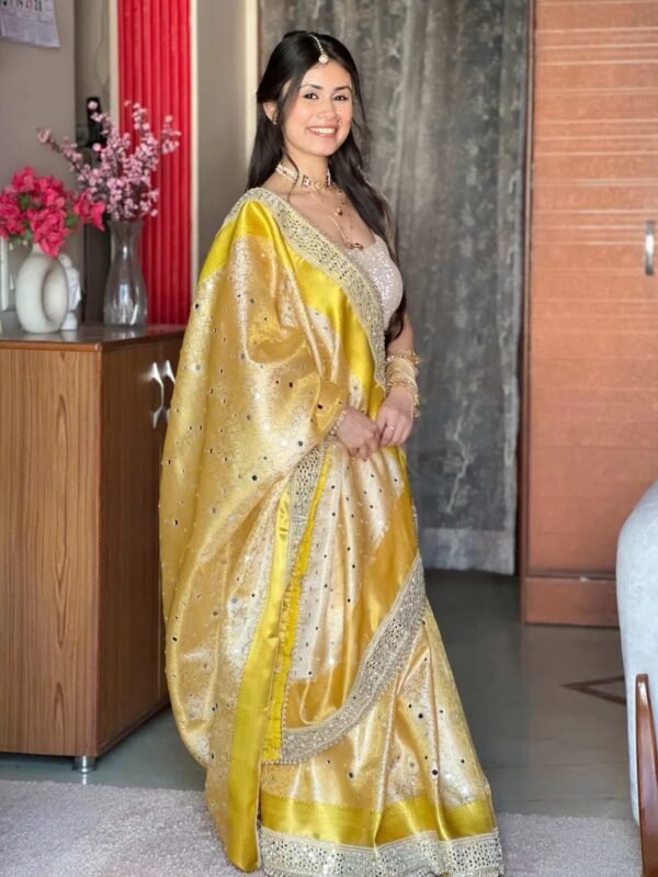 Banarasi mirror work tissue silk saree - Image 7