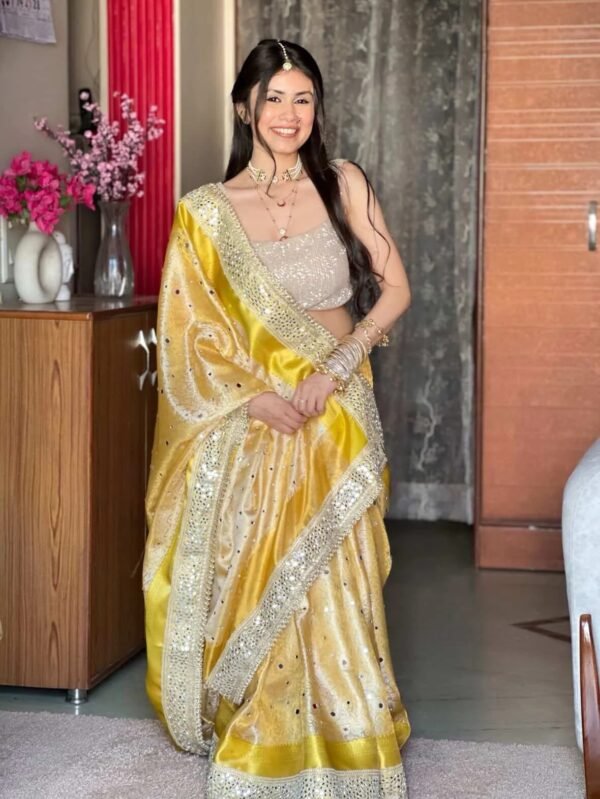 Banarasi mirror work tissue silk saree - Image 6