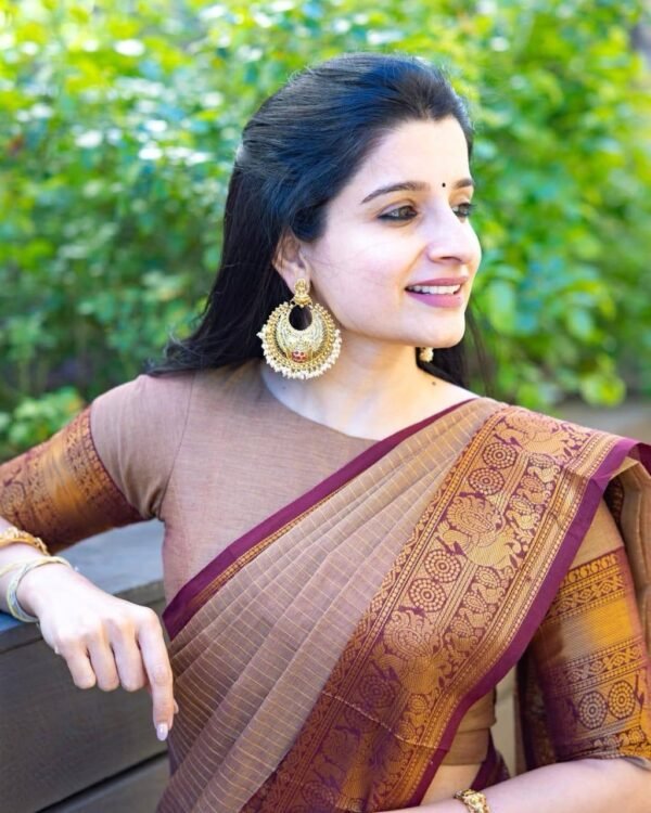 Kanchi Cotton Vaira Oosi Saree - Image 3