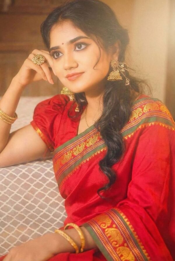 Narayanpet cotton sarees