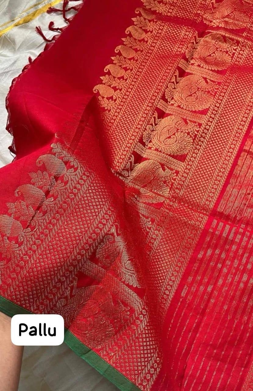 Kanchi cotton - Image 4