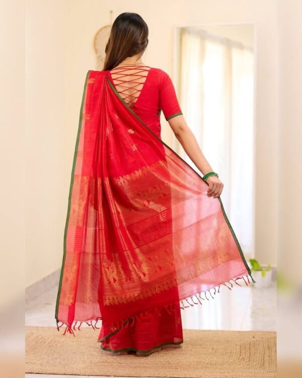 Kanchi cotton - Image 2