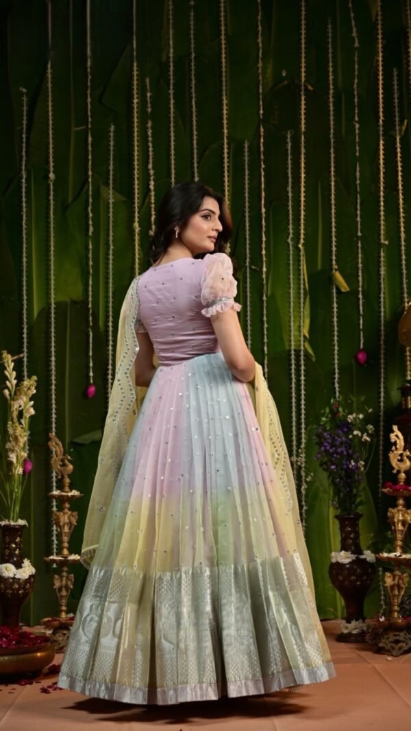 Organza Pattu Gown - Image 2