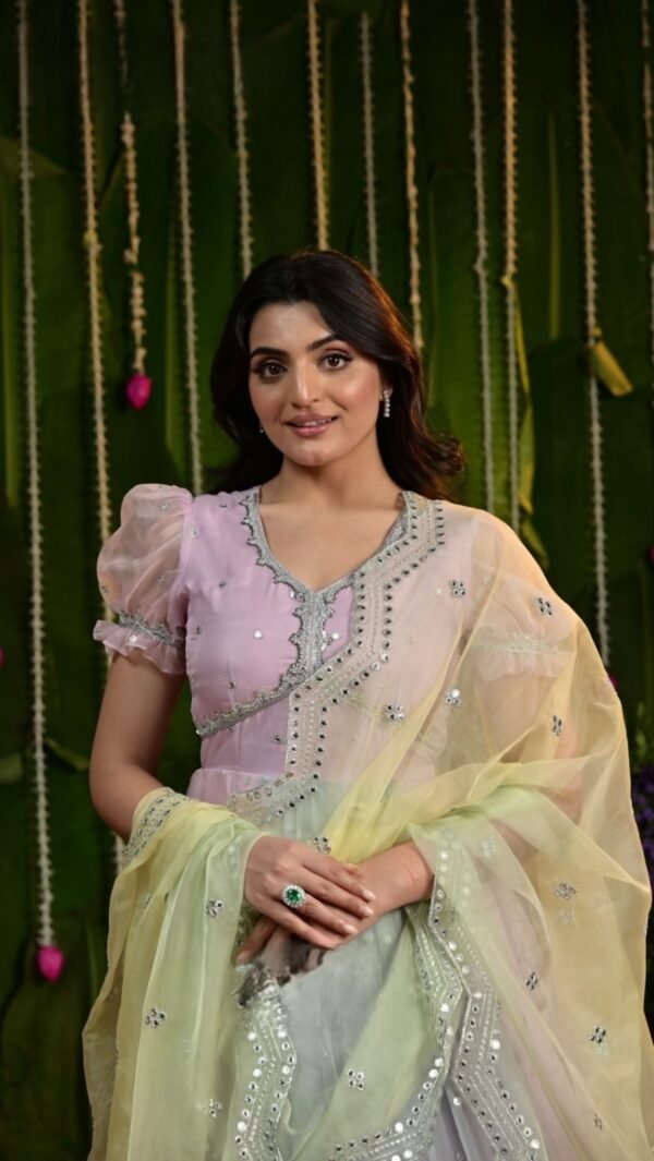 Organza Pattu Gown - Image 5